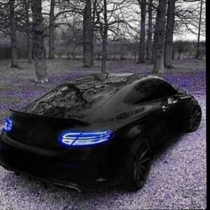 Meet your Posher, Melvin